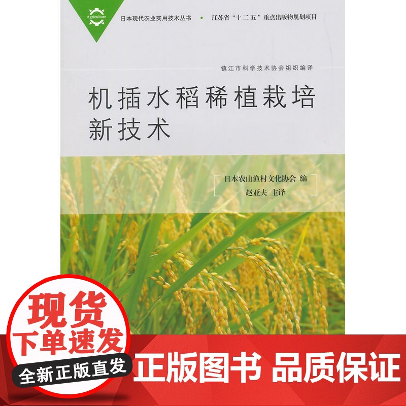 机插水稻稀植栽培新技术