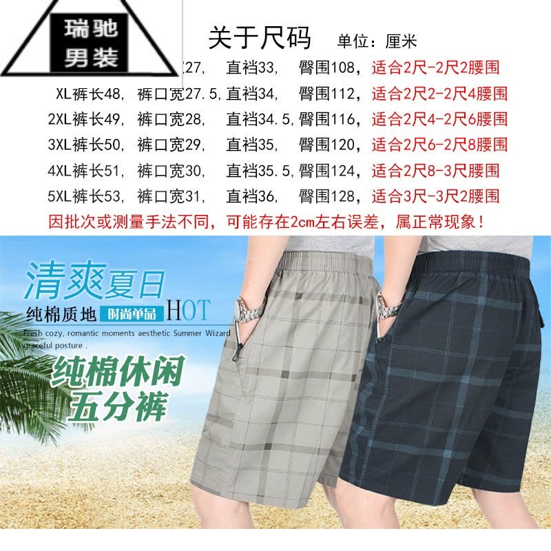 希杰狮王沙滩裤宽松大码男士休闲短裤中老年男士松紧腰爸爸薄款五分裤图片