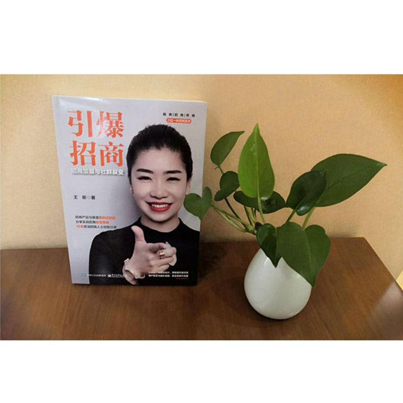 引爆招商 招商加盟与社群裂变 王昕 著 经管、励志 文轩网