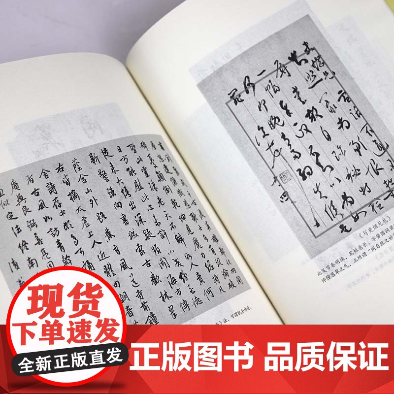 大师私淑坊:白蕉讲授书法 书法作品书法欣赏书籍高清大图