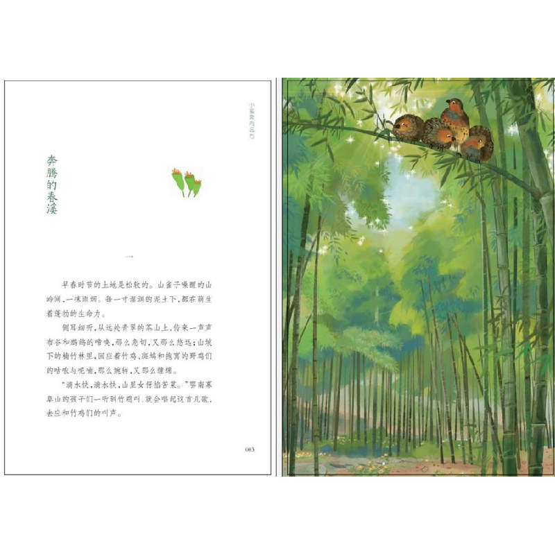 正版 小溪奔向远方 徐鲁 百花文艺出版社 9787530682913 书籍高清大图