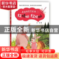 红蜻蜓红蜻蜓