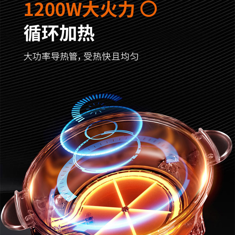 九阳(Joyoung)电火锅HG30-G113 多功能电热锅 韩式迷你锅 自动断电功能 支持温度调节 2-4人