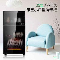 康宝(Canbo)XDZ80-A38消毒柜家用商用小型迷你立式台式双门碗柜厨房高温80升 商用