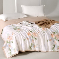 金丝莉 江南印象全棉蚕宝被200x230cm