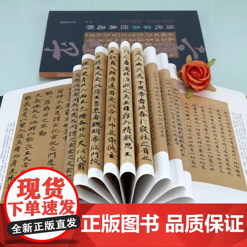 历代小楷经典选粹 历代章草经典选粹 共2册 书法碑帖赏析书籍 书法鉴赏 陕西人民美术出版社高清大图