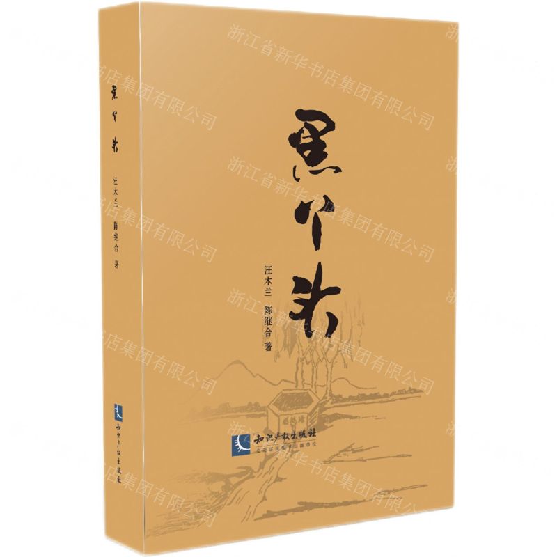 [N]黑丫头-9787513076340高清大图