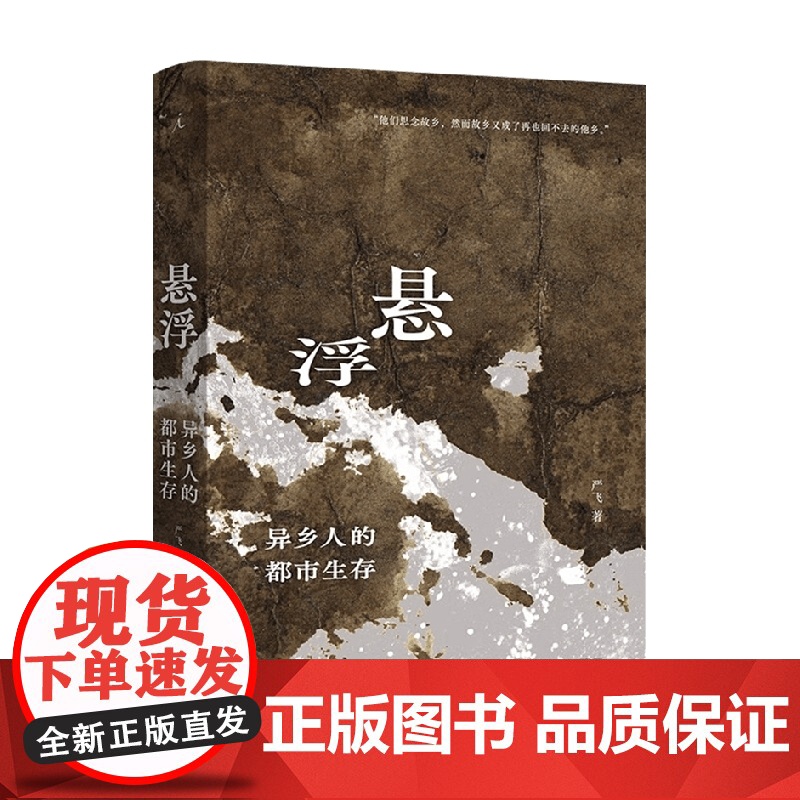 悬浮 异乡人的都市生存 严飞 著 社会科学高清大图