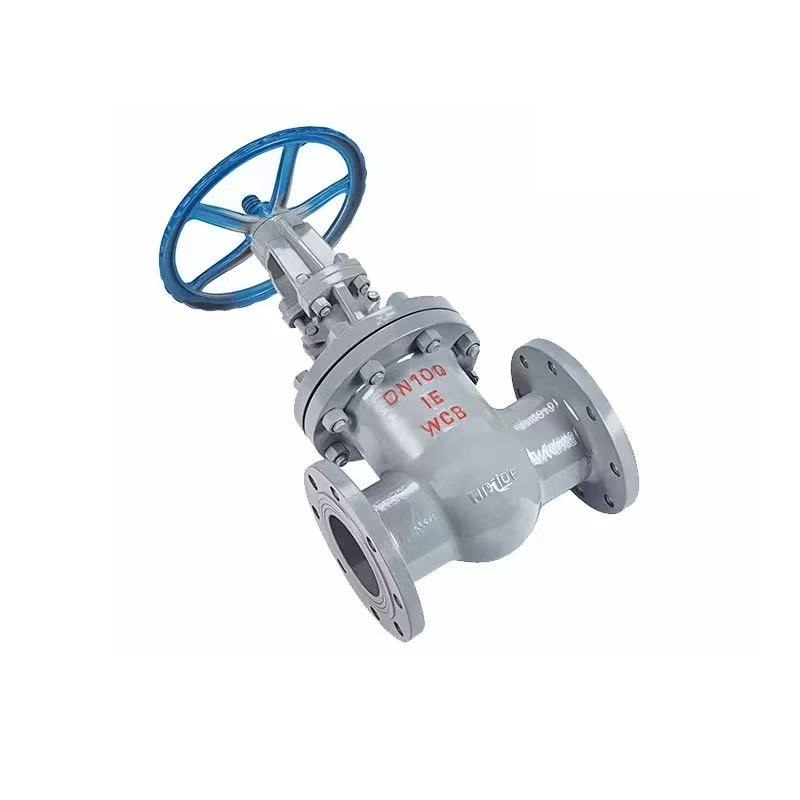 伟鹏双兴 铸钢法兰式闸阀 DN300 台高清大图