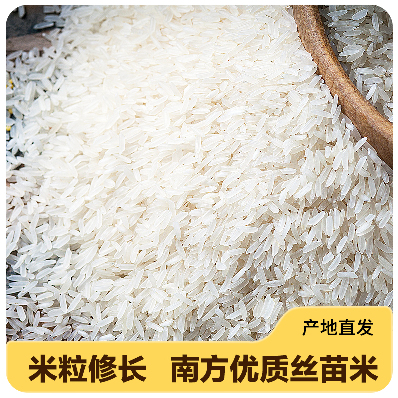 绿宝贡 大米 丝苗米新鲜独立包装正宗长粒香优质米现磨好吃 丝苗王2.5kg*1袋高清大图