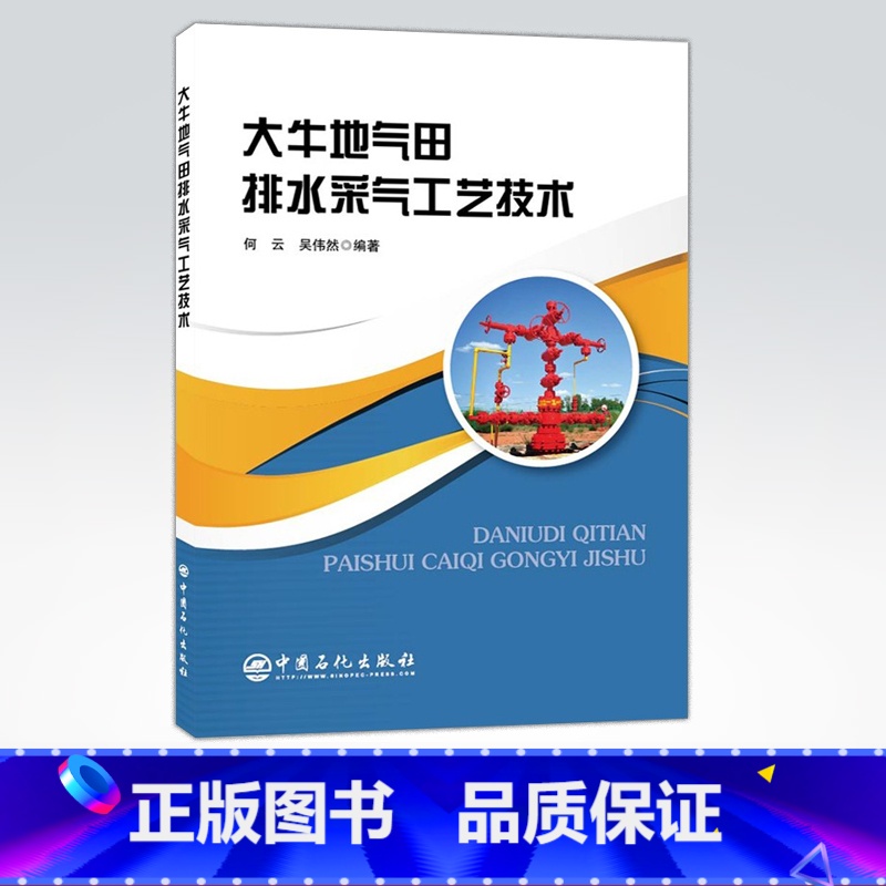 【正版】大牛地气田排水采气工艺技术 致密地层 排水采气 9787511452573 中国石化出版社