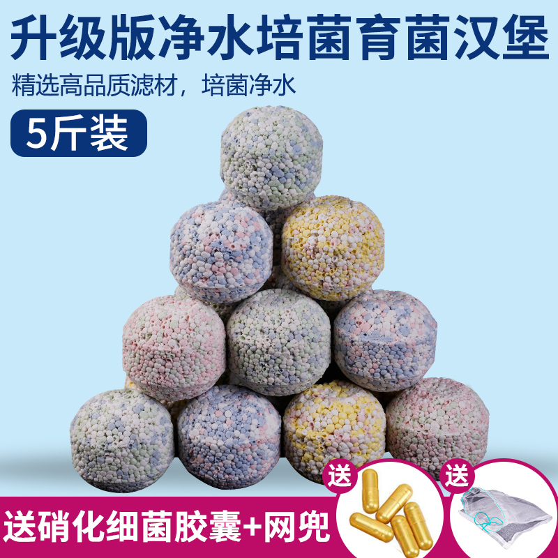 鱼缸过滤材料硝化细菌屋火山石陶瓷环培菌净水鱼池用滤材水质