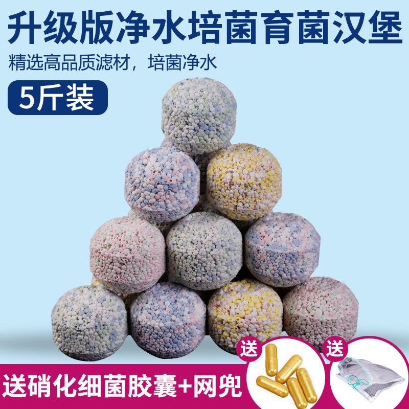 鱼缸过滤材料硝化细菌屋火山石陶瓷环培菌净水鱼池用滤材水质图片