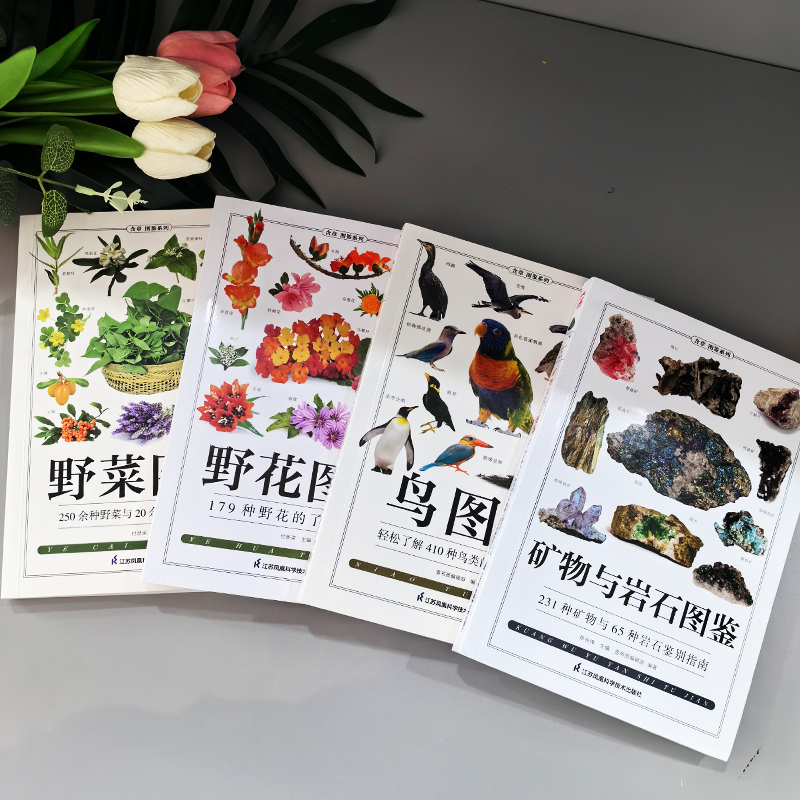 [正版]4册 矿物与岩石图鉴 231种矿物与65种岩石鉴别指南 鸟图鉴 野菜图鉴野花图鉴 收藏爱好者鉴别指南自然科学读高清大图