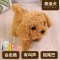 婴儿玩具0-1岁抓握训练早教有声会动婴幼儿童小孩九个月宝宝8 [配充电+螺丝刀]泰迪犬