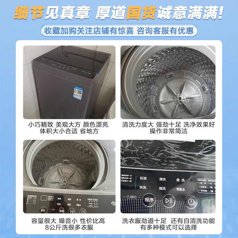 美的(Midea)波轮洗衣机全自动洗衣机8公斤大容量 安静节能 家用 租房 宿舍 甩干脱水 健康免清洗