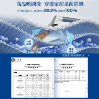 东菱(Donlim)布艺清洗机DL-6906 多功能清洁机 家用洗地毯机 高温蒸汽除螨清洁机 地毯床垫窗帘汽车清洁神器