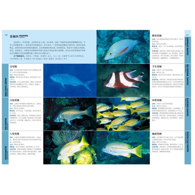 [正版]潜水鱼书 第3版 1200种海洋生物 1300张全彩图片 海洋 鱼类