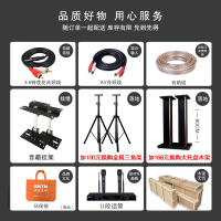 奔腾(BNTN)家庭音响KTV音响 家庭影院套装 卡拉OK 会议专业音箱大功率功放 8150配BTKT10
