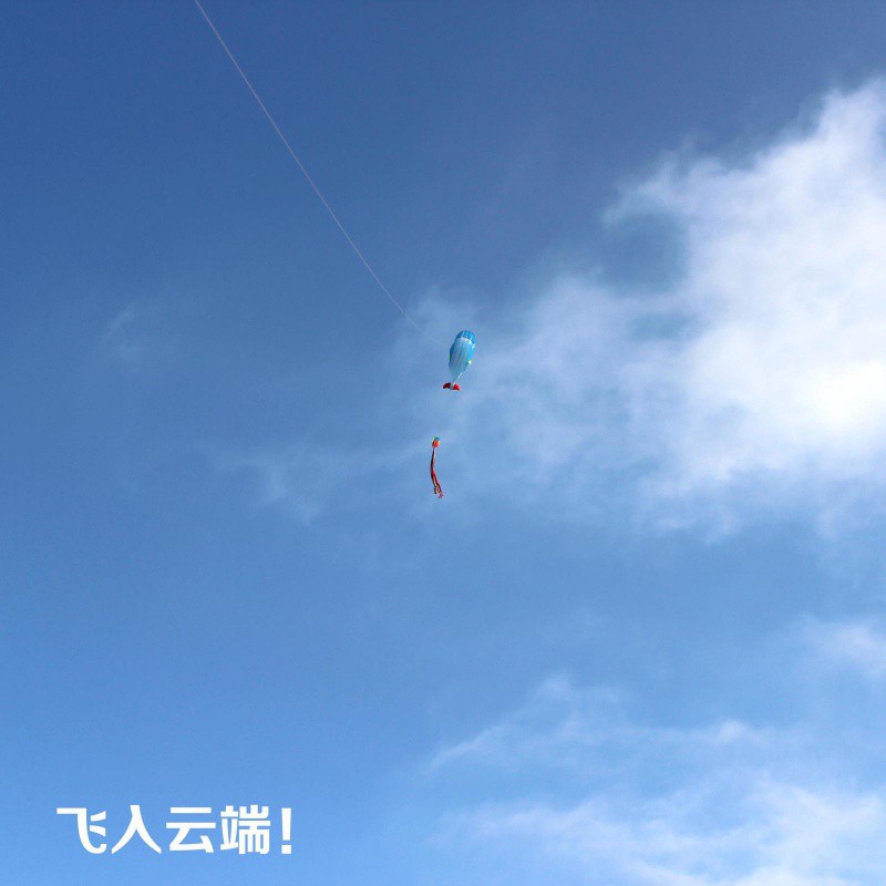 潍坊风筝 软体鲸鱼风筝 大型好飞易飞成人风筝 正品创意 三维工匠 大鲸鱼+22安全锁黄轮400米四股线高清大图