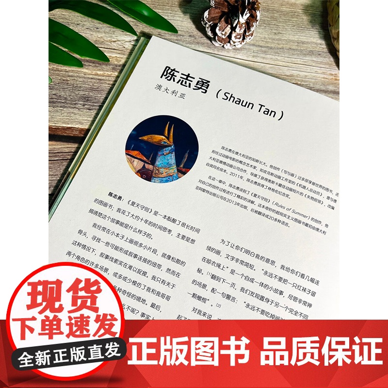 图画书创作谈 乔恩·克拉森等 著 美术普及高清大图