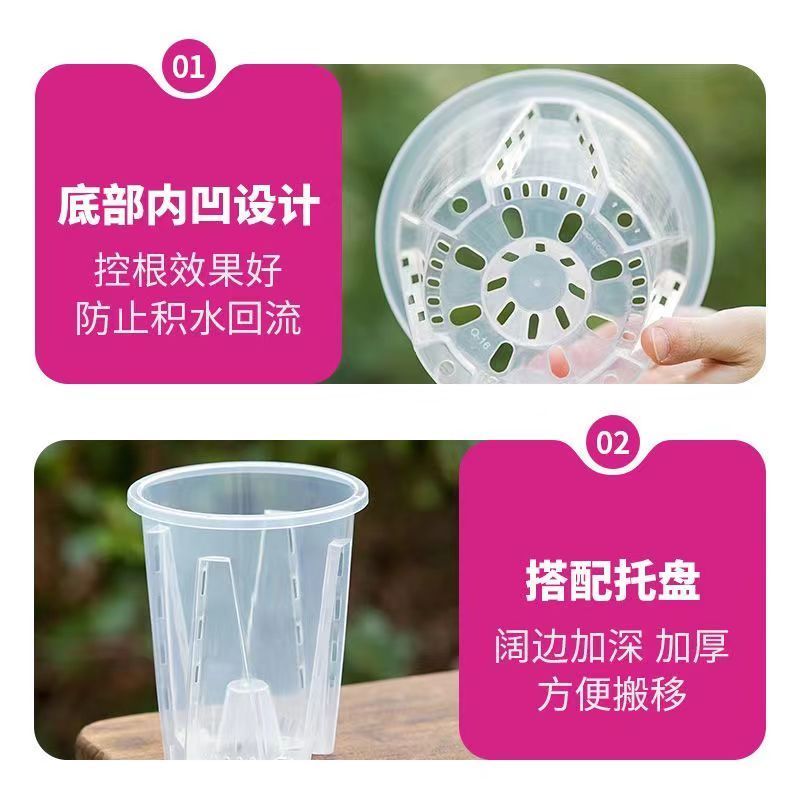 蝴蝶兰专用花盆空气柱透明青山盆特大号大口径塑料圆形桌面高花盆-外径10CM;5个装-带托盘高清大图