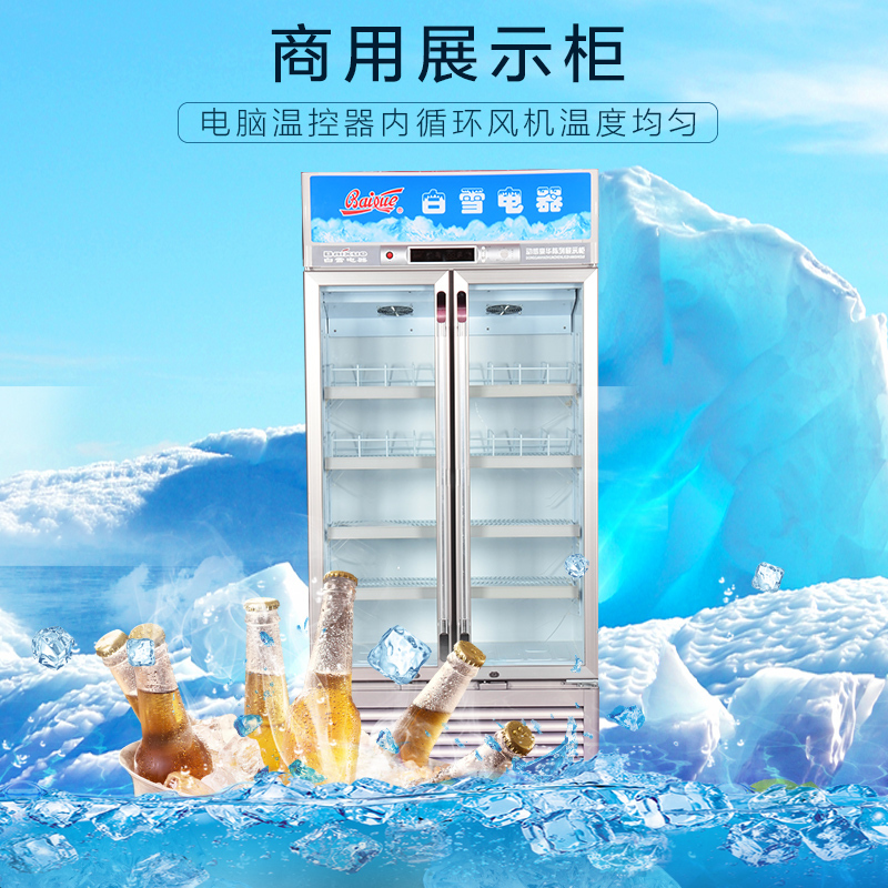 白雪 (Baixue) SC-600FB 600升商用立式 冷柜 商用冷藏陈列柜 立式冰柜 展示柜 饮料柜 啤酒保鲜柜