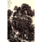 正版新书]丹青武隆萧中胤 著9787562197836