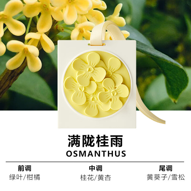 赋刻艺术篆刻香挂持久淡香除味橱柜香薰车挂件伴手礼多巴胺送女生高清大图