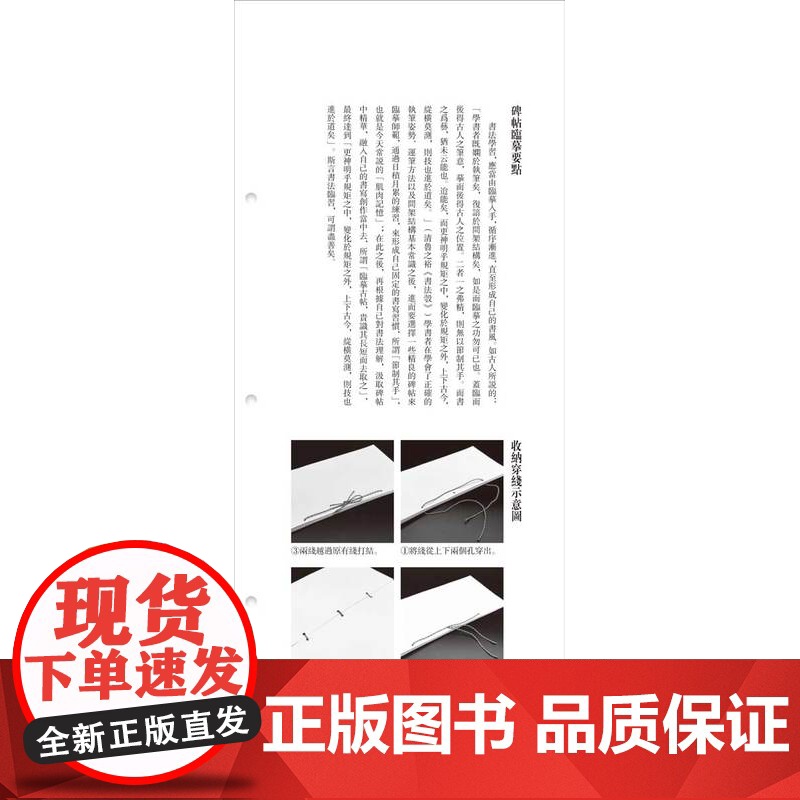 袁安袁敞碑/近距离临摹碑帖丛刊 篆书毛笔书法字帖临摹卡片原碑拓印全文书法临摹练字帖浙江人民美术出版社高清大图