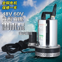 绿一(Lvyi)直流水泵家用12V自吸水泵抽水泵微型不锈钢潜水泵农用抽水机 12V(120瓦)3米不带配件