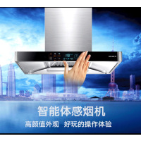 老模范油烟机CXW-230-T5