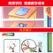 高思竞赛数学课本五年级上册通用版小学5年级数学奥林匹克小丛书小学数学思维训练教材华东师范大学奥数口算题应用知识大全辅导书