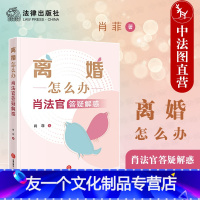 【友一个】中法图 离婚怎么办 肖法官答疑解惑 肖菲 离婚协议离婚诉讼 子女抚养权 子女抚养费 离婚共同财产分割 离离