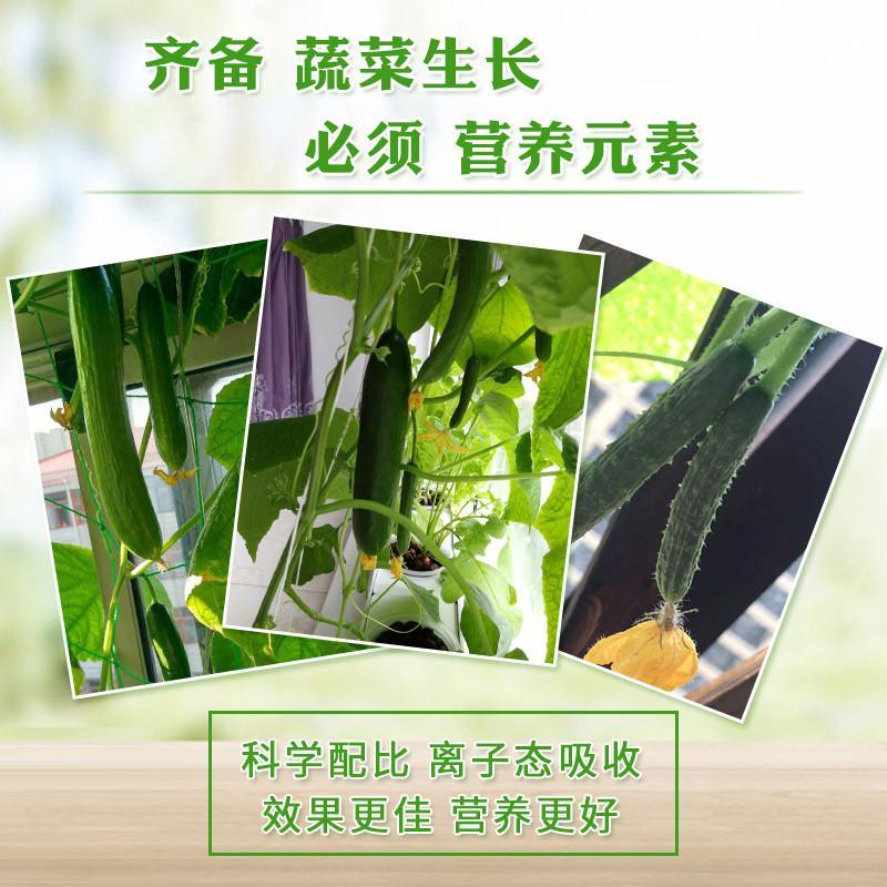 空中花园无土栽培水培蔬菜营养液 500ML通用型 家庭菜园阳台种菜
