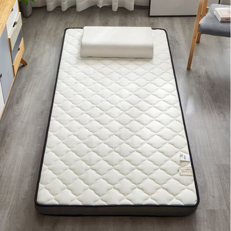 伊伊爱 CD0BN021003801 50*200cm*6cm*1 椰棕乳胶床垫 (单位:个) 白色