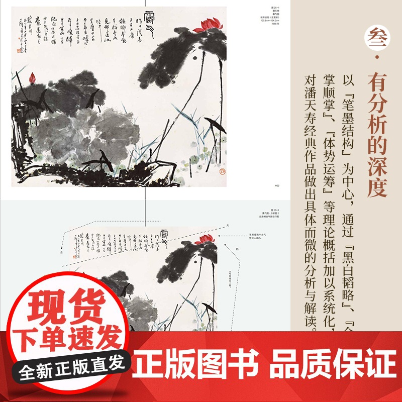 潘天寿绘画的笔墨与构图 潘天寿经典作品分析与解读 中国画初学入门教程笔墨章法构图图文并茂国画鉴赏艺术理论图书籍高清大图