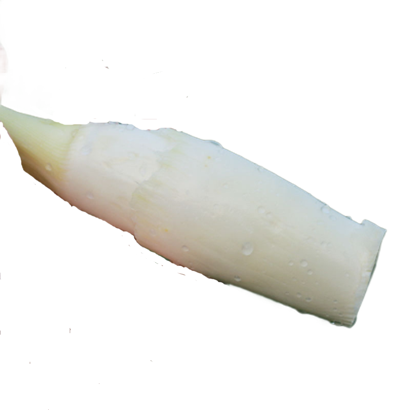 高山新鲜茭白高笋鲜嫩水笋产妇月子新鲜蔬菜茭瓜5斤视频