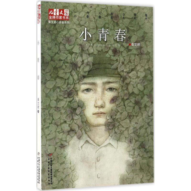 正版新书]小青春秦文君9787514837674高清大图