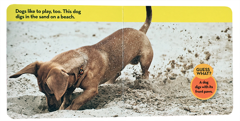 [正版]英文原版绘本National Geographic Kids Look and Learn:Dig 挖掘机全彩国高清大图