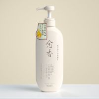 润滑膏 400ml 欧嘉莱尼洗发水日本晚樱念香留香沐浴露氨基酸洗沐护植物护发素