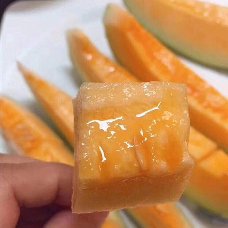 [瓜界甜度王]海南晓蜜哈密瓜 脆甜可口 水分足