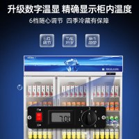 星星(XINGX)LSC-1218Y 1200升商用展示柜 立式对开门冷藏柜 商用大容量冰柜 冰箱 保鲜柜 三门饮料柜