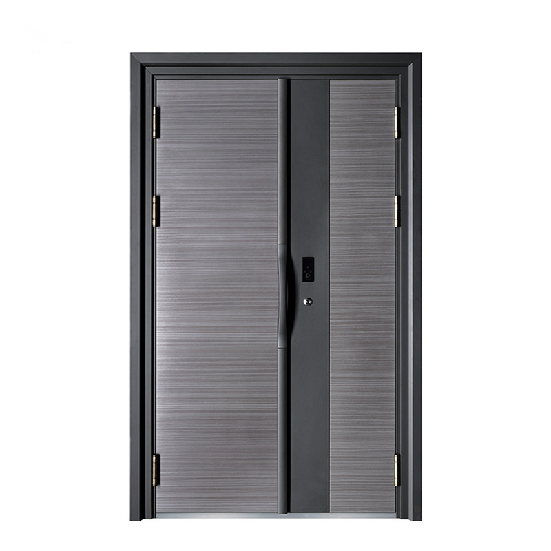 厂家嵌入式指纹锁平板防盗门子母门10公分锌合金防盗门 库存