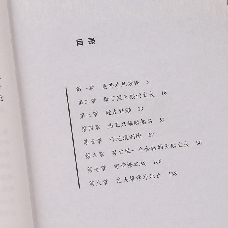 黑天鹅紫水晶(升级版)动物小说大王沈石溪 [正版]黑天鹅紫水晶(升级版)/动物小说大王沈石溪品藏书系