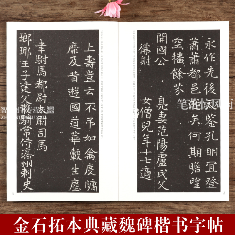 [正版]原石拓本比对北魏元乂墓志 金石拓本典藏北魏楷书毛笔书法字帖碑帖 释文学生成人练字书法篆刻艺术书法碑帖 河南美术