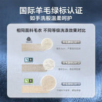 小天鹅(LittleSwan)小蓝鲸10公斤滚筒洗衣机全自动微净泡薄大容量家用 1.1洗净比 TG100V88
