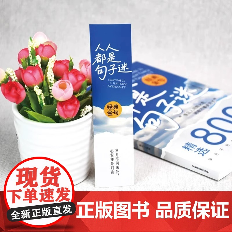人人都是句子迷正版书籍经典金句精选800句清醒通透的聚宝盆一句话点亮人生一句顶一万句带你走出心灵的迷茫困惑人生启迪哲理励高清大图