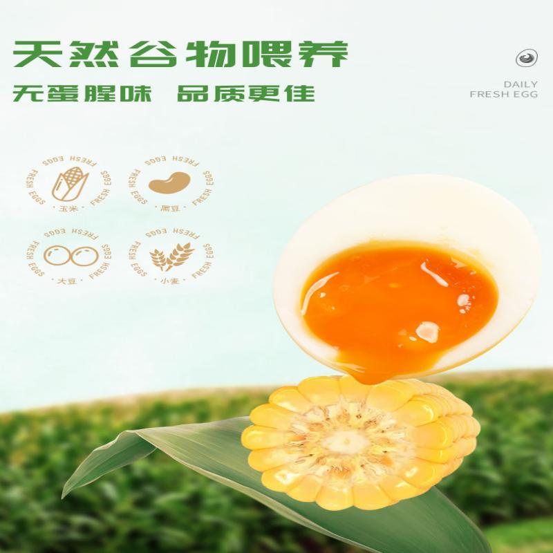 苏鲜生可生食鲜鸡蛋20枚礼盒高清大图