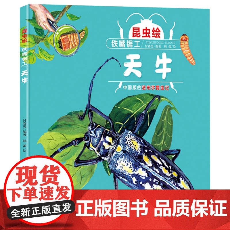 昆虫绘:铁嘴锯工—天牛硬壳精装绘本带领孩子走进大自然一起探索未知的神秘世界3-4-5-6-7-8岁适读正版童书高清大图